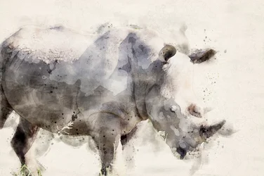 Graceful Watercolor Rhino