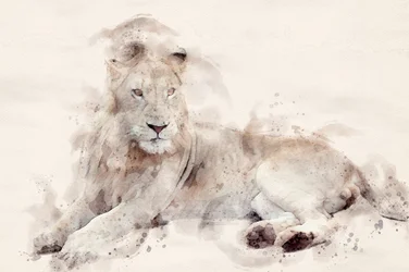 Majestic White Lion Watercolor