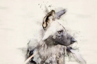 Serene Wild Dog Watercolor