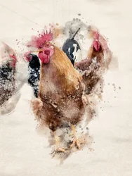 Watercolor Farm Roosters
