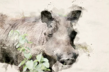 Watercolor Warthog Portrait