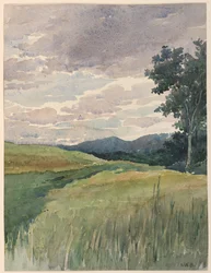 Landscape of Countryside