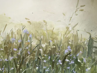 Blue Flowers in Meadow