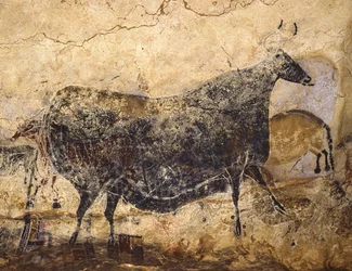 Black Cow. Cave painting of Lascaux, ca. 16,000-15,000 BC