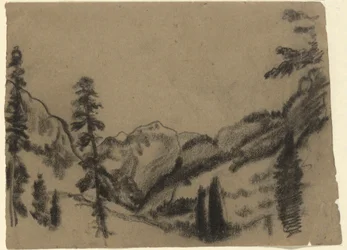 Mountain Landscape with Fir Trees