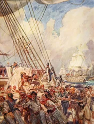 The Old Superb, illustration from 