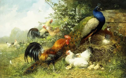 Fowl and Peacocks, 1899