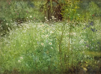 Oxeye Daisies and Irises