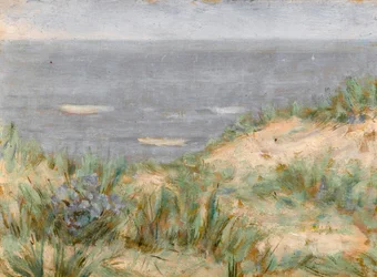Seaview with Dunes, Flowering Seagrass