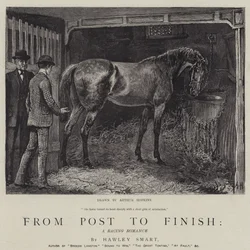 From Post to Finish, a Racing Romance