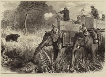 The Prince of Wales in the Terai, shooting a Bear