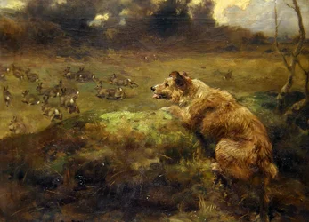 Rabbit Hunter