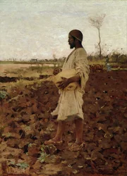An Egyptian Sower, 1881