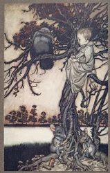 Put His Strange Case Before Old Solomon Caw, from Peter Pan in Kensington Gardens by J. M. Barrie, pub. 1906