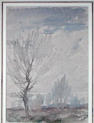 Study of a Tree