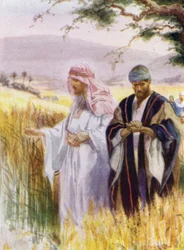Jesus and his disciples in the corn field
