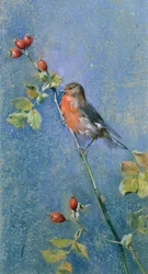 Robin on a Branch