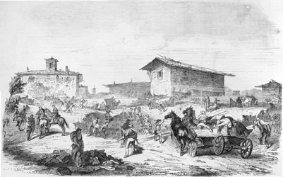 Battle of Basic Fuchsin 1859