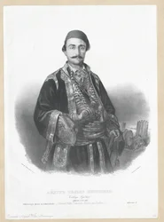 Veljko Petrović