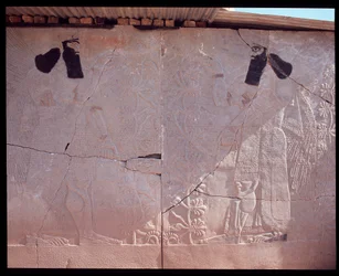 View of a Relief, 9th-7th Century BC