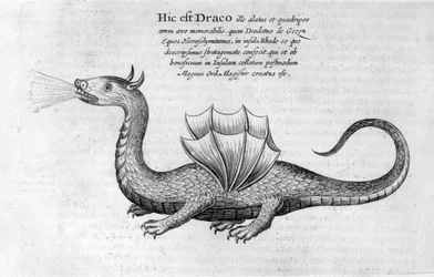 Dragon, 1678
