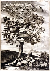 Genealogical tree of Noah after Athanasius Kircher, Turris Babel, Rome 1675, Milan