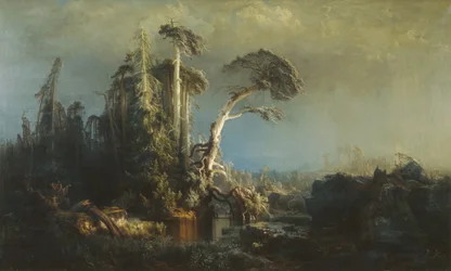 Dying virgin forest in rough weather (after the storm)