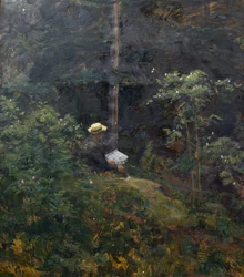 Forest Interior
