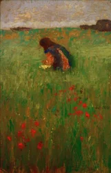 Child in Meadow