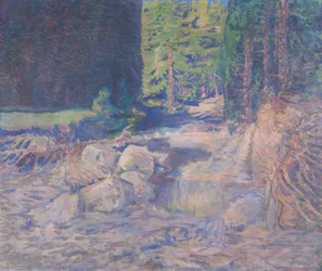 Resting Wild Stream
