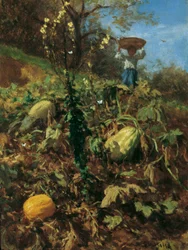 The Pumpkin Garden