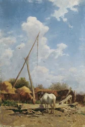 Hungarian Horse Watering