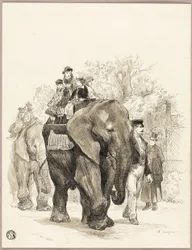 Elephant with Riders in Jardin des Plantes, Paris