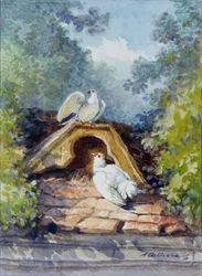 The two watercolour pigeons by Auguste Delierre for the fable by Jean de la Fontaine
