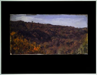 Two Landscapes
