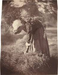 Peasant