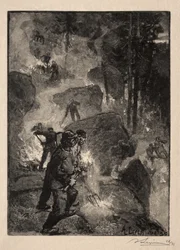 Fern Burners