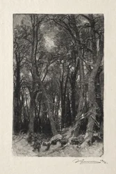 The Lower Breau