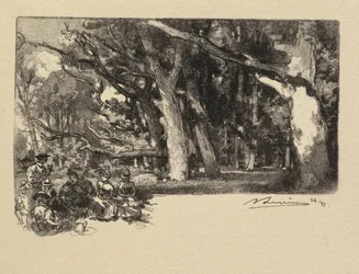 Fontainebleau Forest: Noon under the Trees