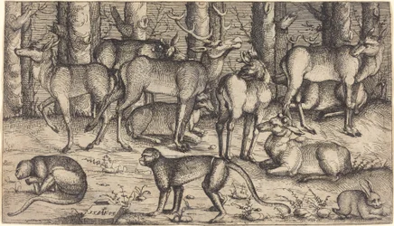 Stags in the Forest