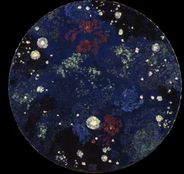 Starry Sky