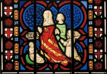 Pugin