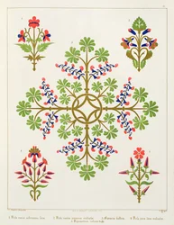 Rose motif wallpaper design, printed by M. and N. Hanhart