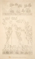 A City taken by assault - Prisoners driven away, from Monuments of Nineveh