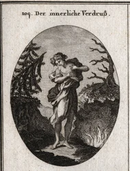 Allegory of Internal Sorrow Represented by the Sadness of the Face and the Disorder of Adjustment. Her Breast Appears to Be Eaten by Several Snakes. Engraving in 