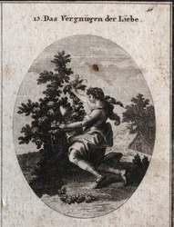 Allegory of love satisfaction represented by a graceful teenager kneeling in front of a heart in the middle of a flowered rose tree whose roses and thorns are allusive to the sorrows and sweets of love. The lover cries to embellish what he loves.