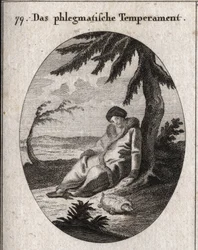 Allegory of Phlegmatic Complexion. The turtle is the attribute of its slowness. Engraving in 