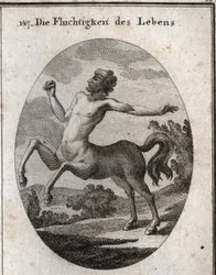 Allegory of the Velocity of Human Life