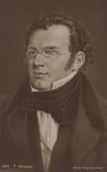 Portrait of Franz Schubert