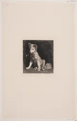 The Dog and the Bee